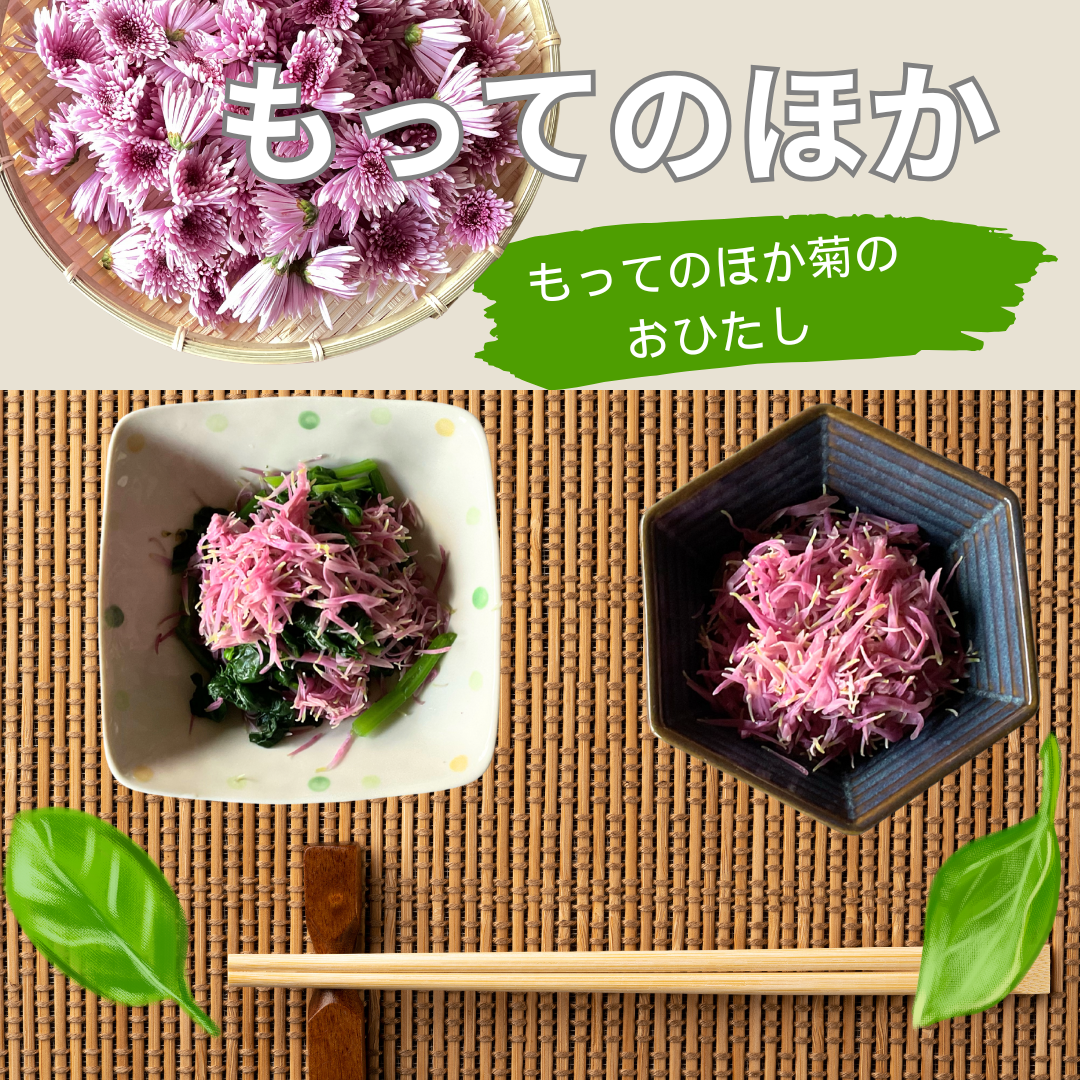 食用 菊 もってのほか