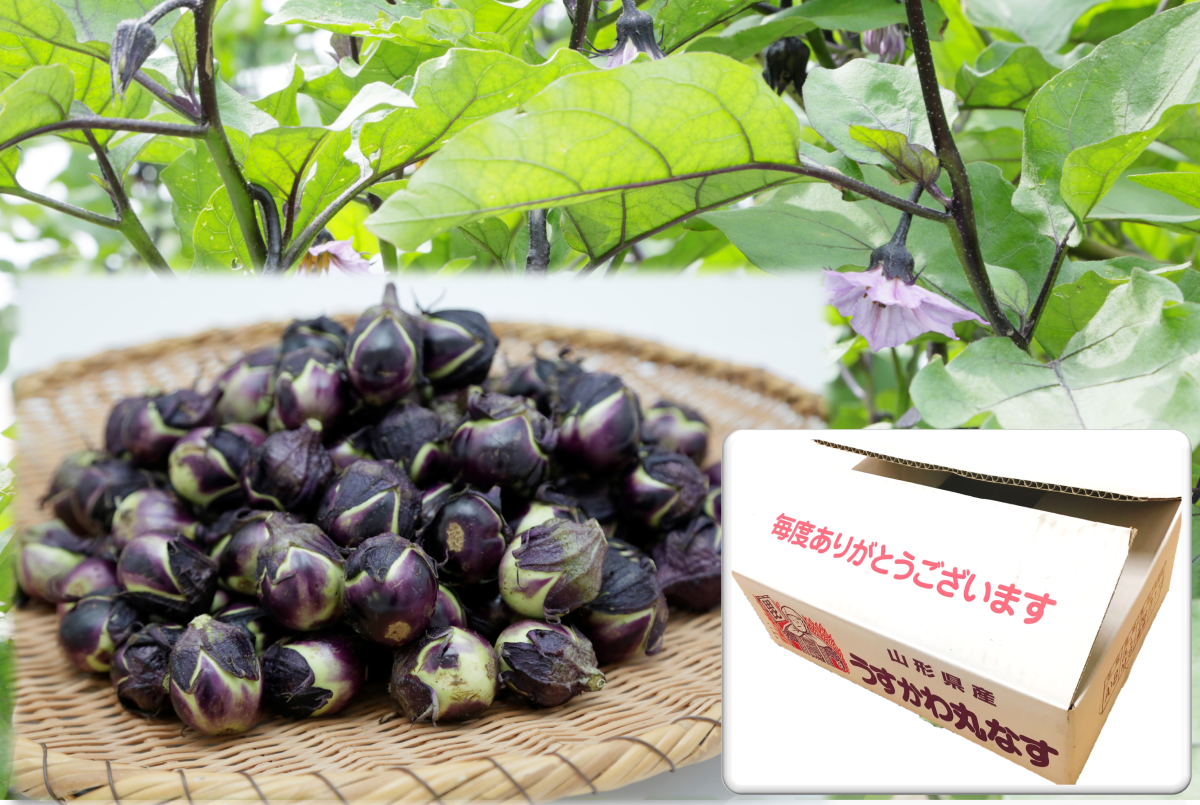 緊急値下げ延長のお知らせ！『薄皮丸茄子２kg』｜道の駅米沢