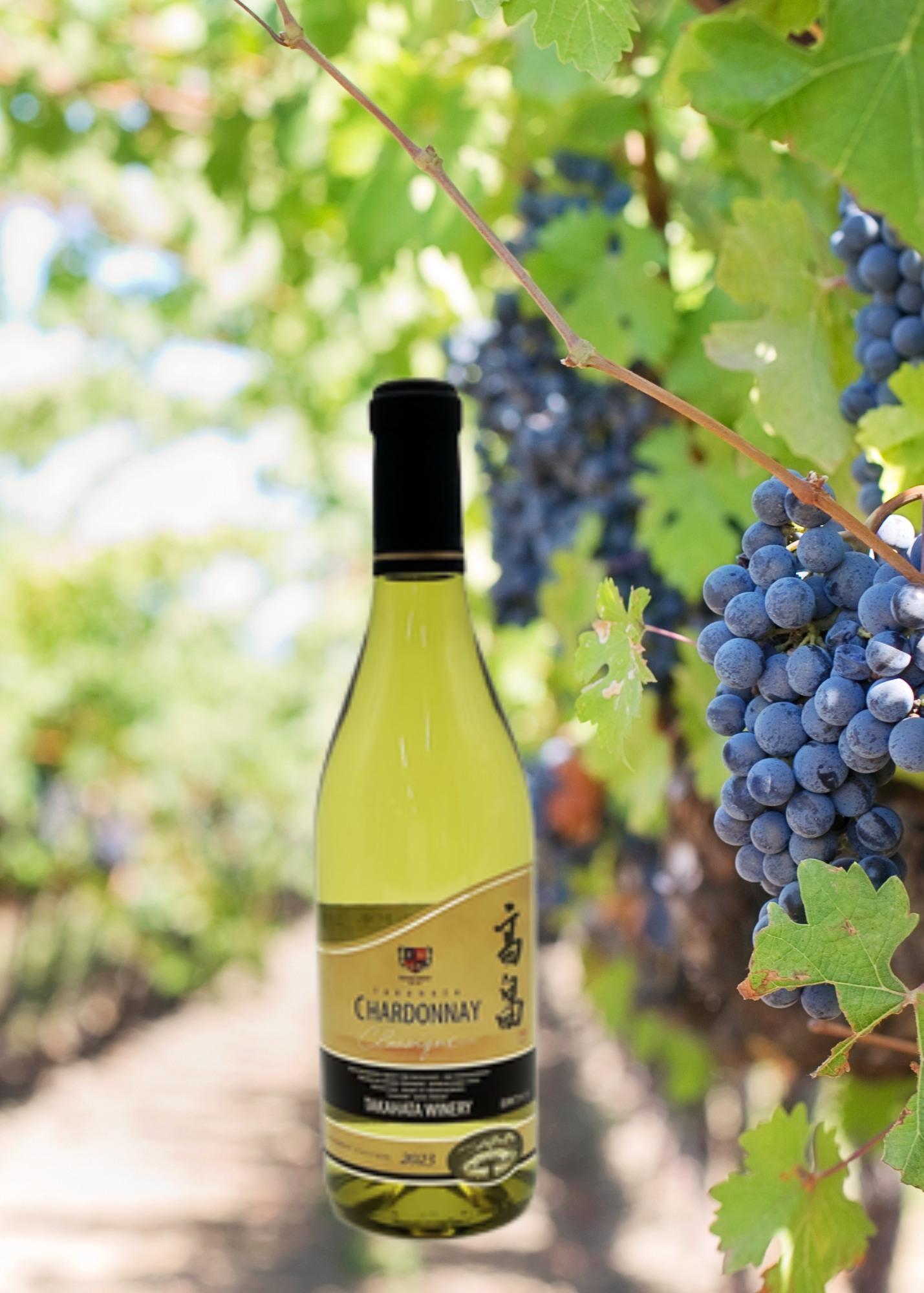 1_301db4ee-b794-4033-9b0e-