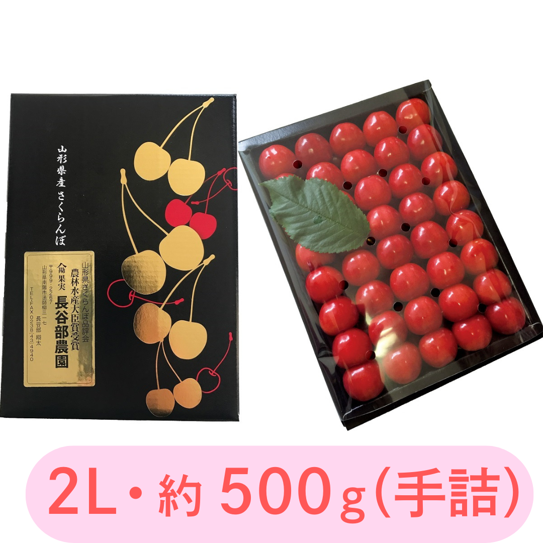 ハ-3 南陽産 長谷部農園 さくらんぼ（鷹山） [手詰 2Lサイズ・約500g