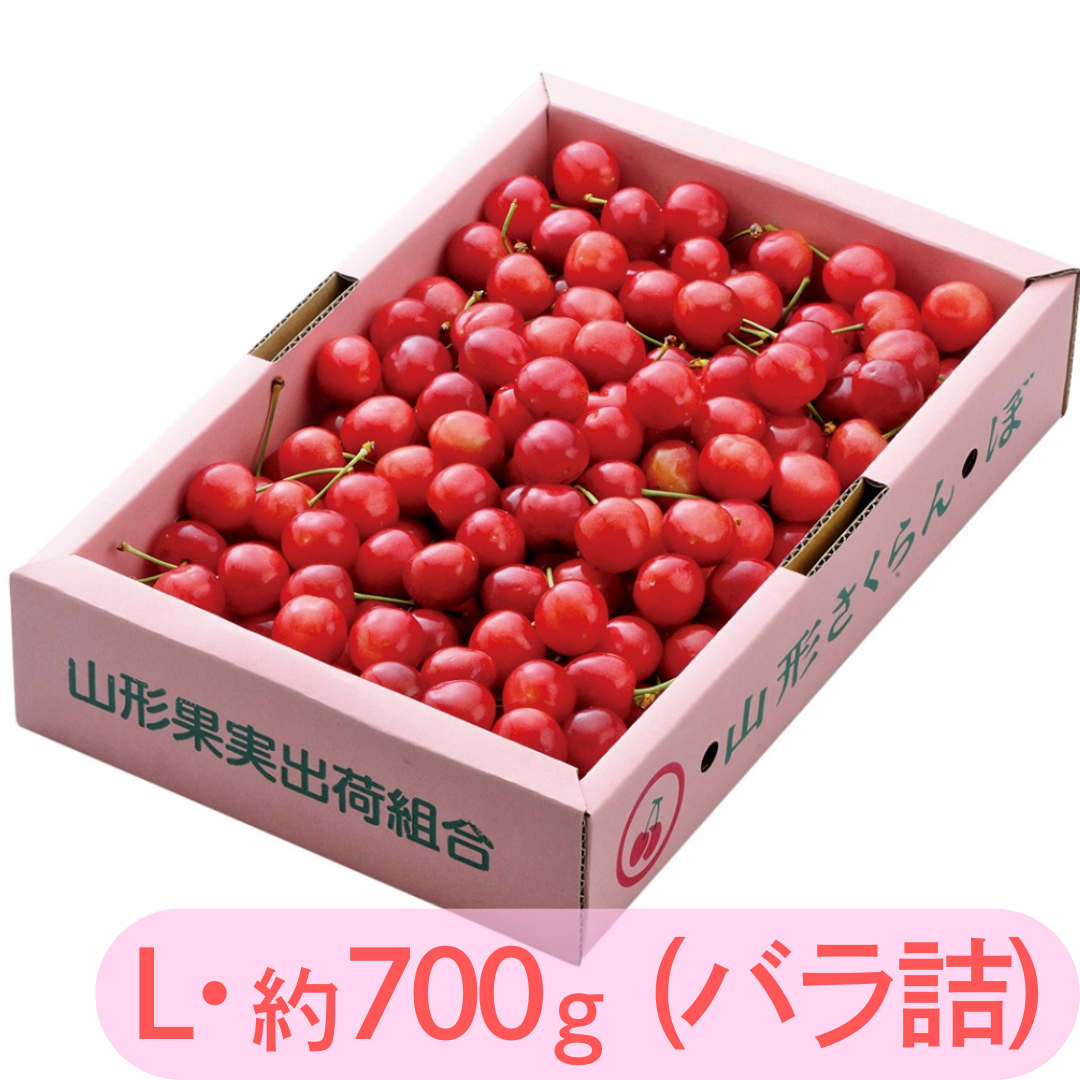 ヨ-1 東根産 さくらんぼ（佐藤錦） [Lサイズ700gバラ詰]【送料無料