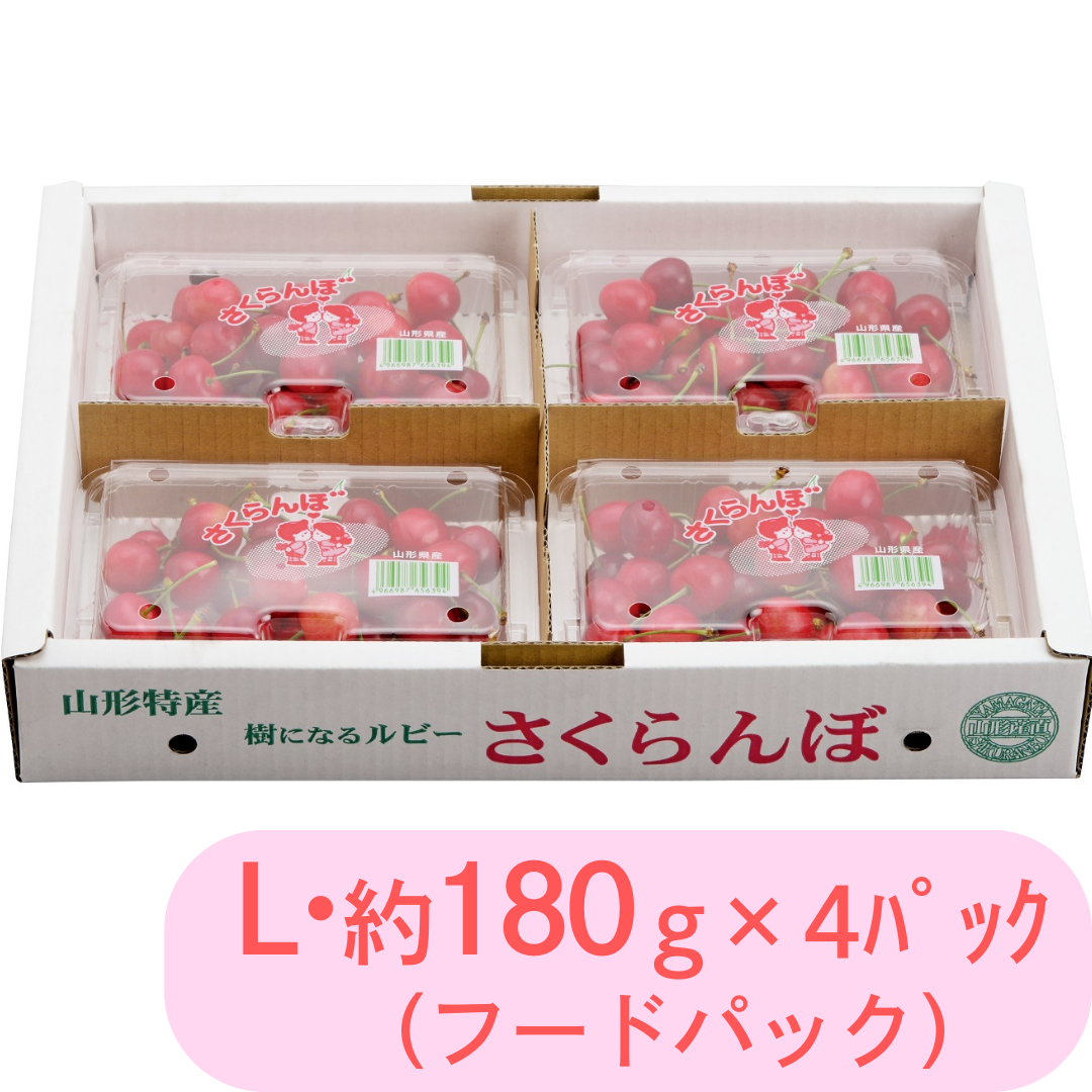 ヨ-2 東根産 さくらんぼ（佐藤錦） [フードパック Lサイズ・約180g×4