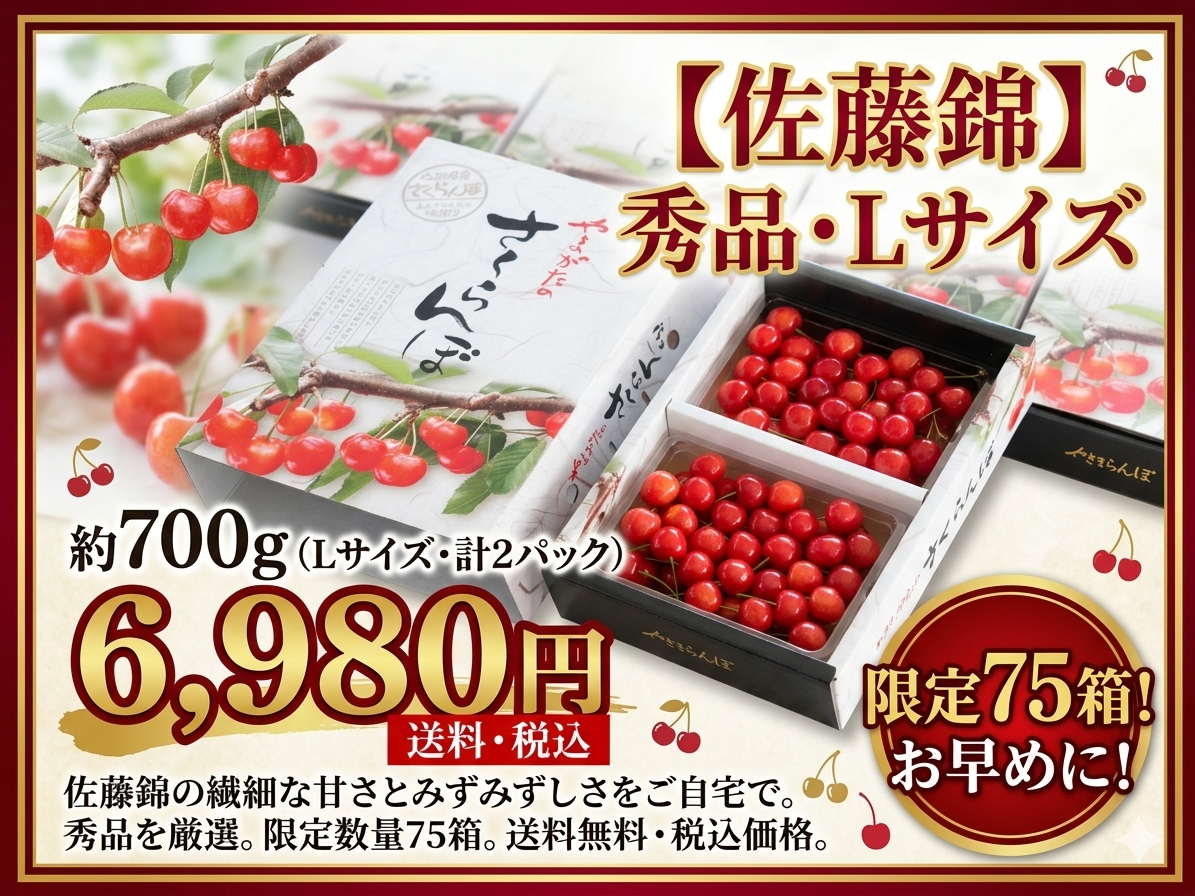 6/17（水）6/18（木）発送限定！】さくらんぼ『佐藤錦』※限定75箱｜道