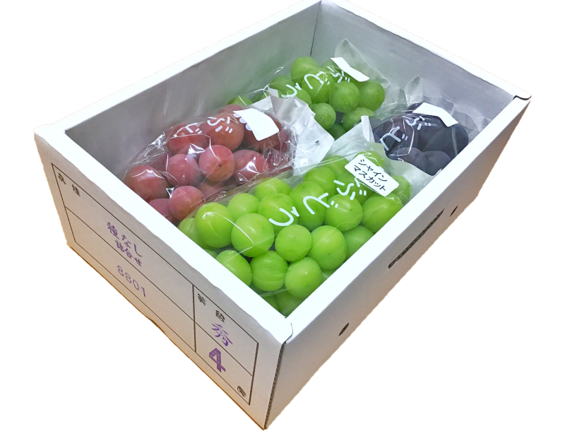 家庭用ぶどう詰め合わせ　箱込み4.1kg 家庭用ぶどう詰め合わせ 箱込み4.1kg - 果物新 デザイン